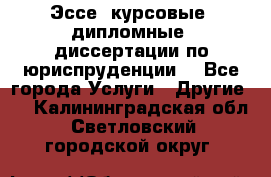 Эссе, курсовые, дипломные, диссертации по юриспруденции! - Все города Услуги » Другие   . Калининградская обл.,Светловский городской округ 